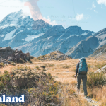 When You Visit New Zealand
