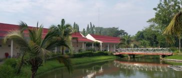 Top 5 Ayurvedic Retreats in Sri Lanka for Total Rejuvenation