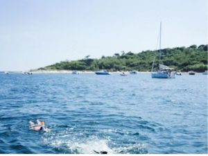 Family Water Sports Adventures: Surf, Paddle & Raft 2025