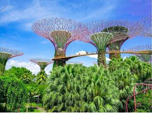 Ways Regenerative Tourism Transforms Travel for Good in 2025