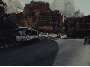 Top 10 Sustainable Travel Tips for Families with Kids